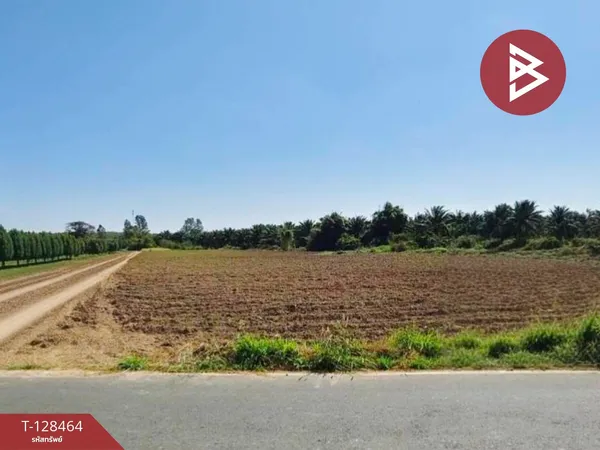 ขายที่ดิน เนื้อที่ 8 ไร่ 37 ตร.วา แปลงยาว ฉะเชิงเทรา