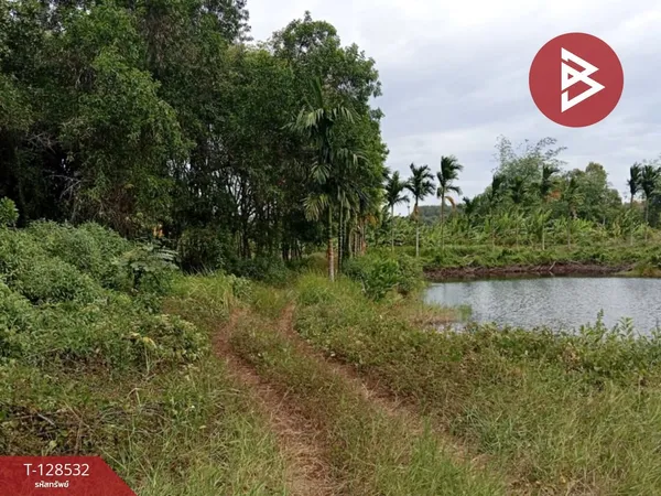 ขายที่ดินสวนยาง เนื้อที่ 23 ไร่ 1 งาน 10 ตารางวา นายายอาม จันทบุรี