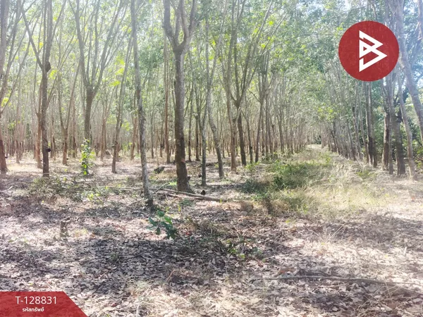 ขายที่ดิน เนื้อที่ 7 ไร่ 1 งาน 75 ตร.วา เพ ระยอง