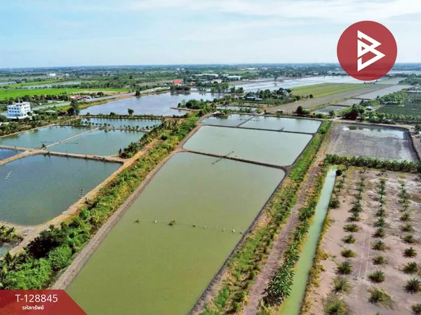 ขายที่ดิน เนื้อที่ 22 ไร่ 1 งาน 62 ตร.วา บางเลน นครปฐม