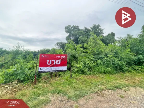 ขายที่ดิน เนื้อที่ 51 ตร.วา ไทรน้อย นนทบุรี