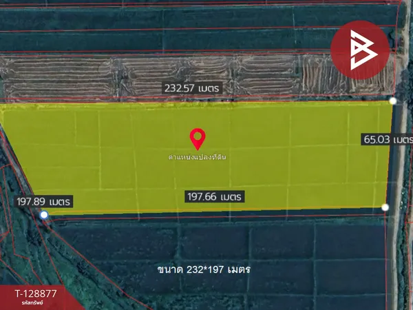 ขายที่ดินนา เนื้อที่ 8 ไร่ 3 งาน 49 ตารางวา เวียงป่าเป้า เชียงราย