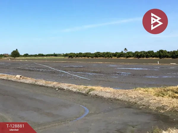 ขายที่ดินเปล่า เนื้อที่ 3 ไร่ 2.2 ตารางวา ทับตีเหล็ก สุพรรณบุรี