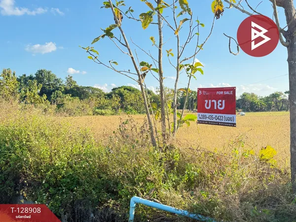 ขายที่ดิน เนื้อที่ 3 ไร่ 2 งาน 74 ตร.วา สันป่าตอง เชียงใหม่