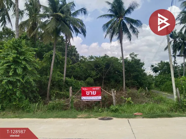 ขายที่ดิน เนื้อที่ 1 งาน วารินชำราบ อุบลราชธานี