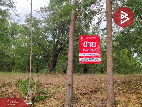 ขายที่ดิน เนื้อที่ 11 ไร่ 2 งาน 76.4 ตารางวา หล่มสัก เพชรบูรณ์