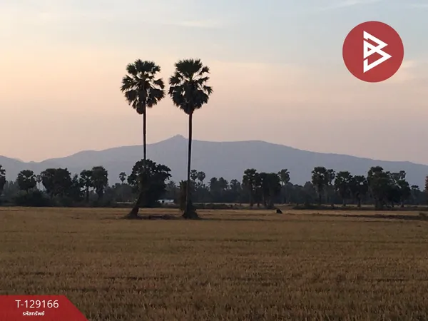 ขายที่ดิน เนื้อที่ 1 ไร่ ท่ายาง เพชรบุรี