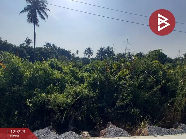 ขายที่ดินเปล่า เนื้อที่ 3 งาน 35.5 ตารางวา สามพราน นครปฐม