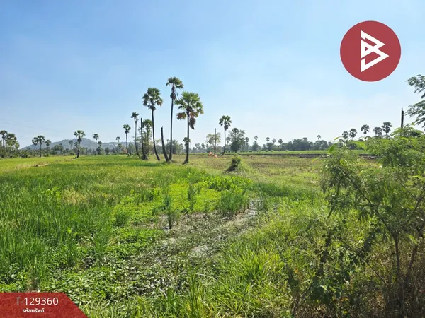 ขายที่ดิน เนื้อที่ 5 ไร่ 20 ตร.วา ไร่ส้ม เพชรบุรี