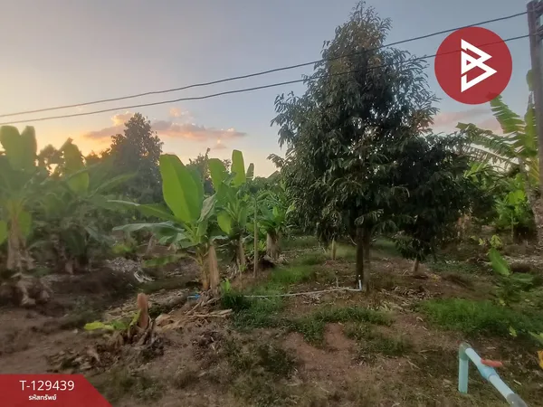 ขายที่ดินพร้อมสวน เนื้อที่ 9 ไร่ 3 งาน 73 ตร.วา นายายอาม จันทบุรี