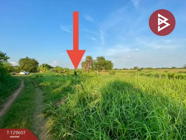 ขายที่ดิน เนื้อที่ 13 ไร่ 2 งาน 22 ตร.วา สูงเนิน นครราชสีมา