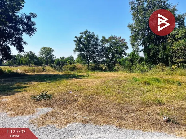 ขายที่ดิน เนื้อที่ 1 งาน 88 ตร.วา หนองหญ้าไซ สุพรรณบุรี