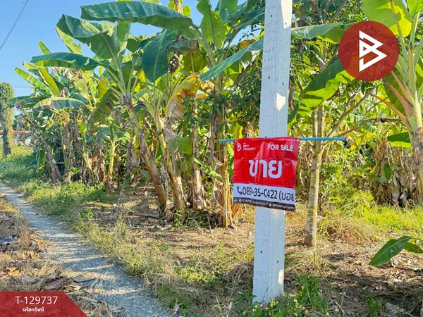 ขายที่ดิน เนื้อที่ 2 งาน 76.3 ตร.วา สารภี เชียงใหม่