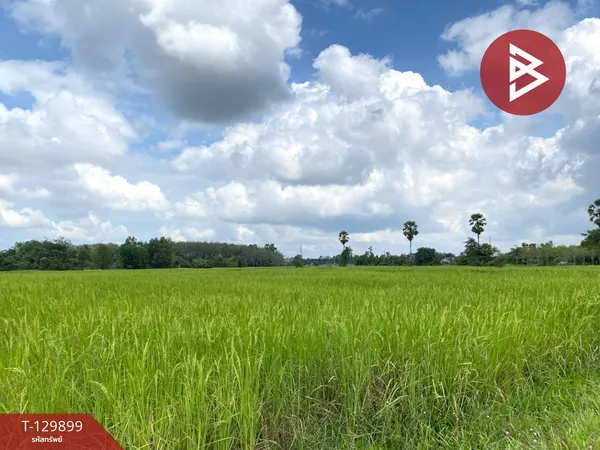 ขายที่ดินที่นา เนื้อที่ 2 ไร่ 1 งาน 78.4 ตารางวา รัตภูมิ สงขลา