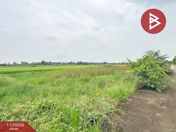 ขายด่วนที่ดิน เนื้อที่ 100 ตารางวา ลำลูกกา ปทุมธานี