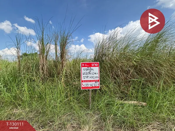 ขายที่ดิน เนื้อที่ 60 ตร.วา พนัสนิคม ชลบุรี