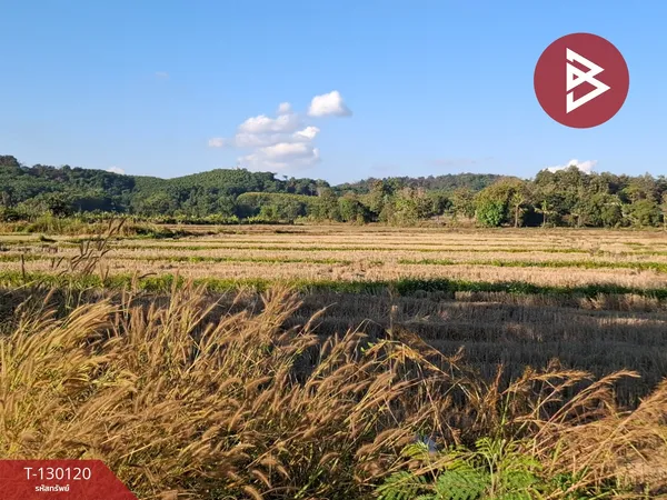 ขายที่ดินแปลงใหญ่ เนื้อที่ 10 ไร่ 1 งาน 55 ตารางวา เวียงชัย เชียงราย