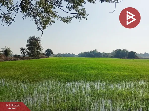 ขายที่ดิน เนื้อที่ 19 ไร่ 83 ตารางวา โกรกพระ นครสวรรค์