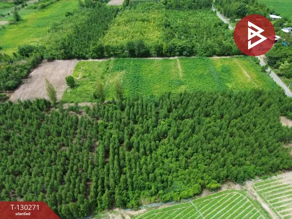 ขายที่ดิน เนื้อที่ 10 ไร่ 52 ตร.วา สวนผึ้ง ราชบุรี