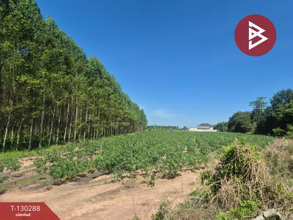 ขายที่ดิน เนื้อที่ 6 ไร่ 1 งาน 42.5 ตร.วา พนัสนิคม ชลบุรี