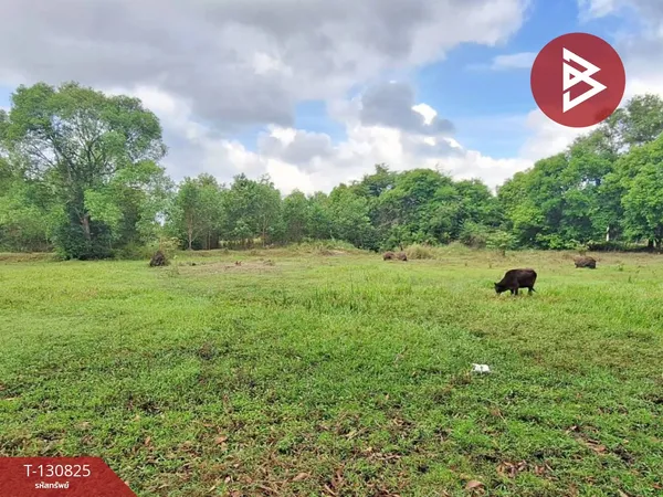 ขายที่ดินแปลงใหญ่ เนื้อที่ 4 ไร่ 3 งาน 95.3 ตารางวา ท่างิ้ว นครศรีธรรมราช ติดกับกำแพงค่าย