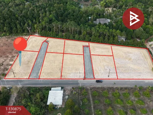 ขายที่ดิน เนื้อที่ 2 งาน แสลง จันทบุรี