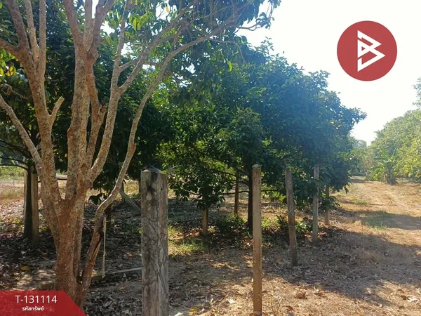 ขายที่ดิน เนื้อที่ 3 งาน 93.5 ตารางวา อ.เพ ระยอง ทำเลดี