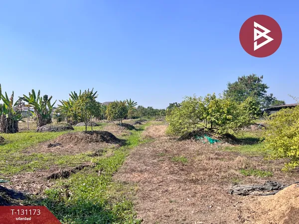 ขายที่ดินพร้อมสวนทุเรียน เนื้อที่ 4 ไร่ 2 งาน สารภี เชียงใหม่