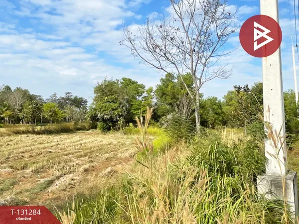 ขายที่ดิน เนื้อที่ 3 ไร่ 75 ตร.วา ท่าสว่าง สุรินทร์