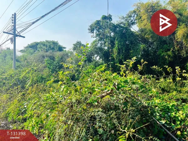 ขายที่ดิน เนื้อที่ 3 ไร่ 89 ตร.วา บางกุ้ง สุพรรณบุรี ทำเลดี