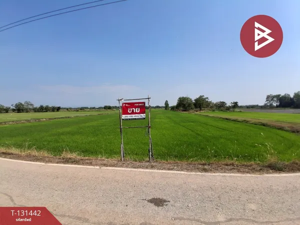 ขายที่ดิน เนื้อที่ 14 ไร่ 3 งาน 72 ตร.วา วังทอง พิษณุโลก