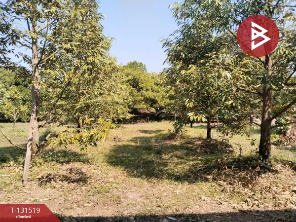 ขายที่ดิน เนื้อที่ 2 ไร่ 2 งาน 75 ตร.วา ท่าใหม่ จันทบุรี