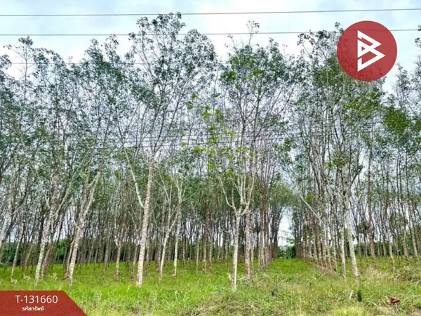 ขายที่ดิน เนื้อที่ 8 ไร่ 1 งาน 77 ตร.วา มะขาม จันทบุรี