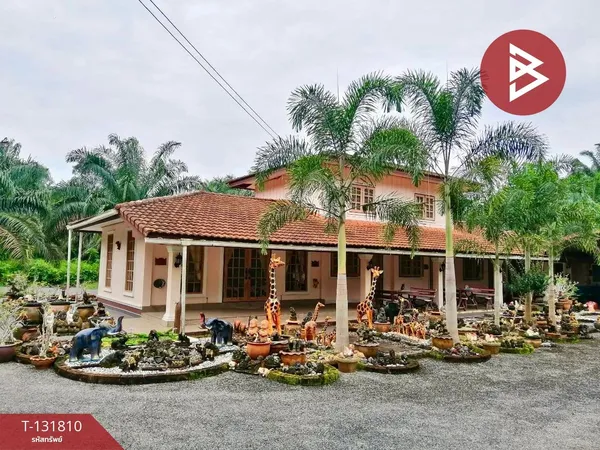 ขายที่ดินสวนปาล์มน้ำมันพร้อมสิ่งปลูกสร้าง เนื้อที่ 13 ไร่ 91 ตารางวา ต.ทรัพย์อนันต์ อ.ท่าแซะ จ.ชุมพร