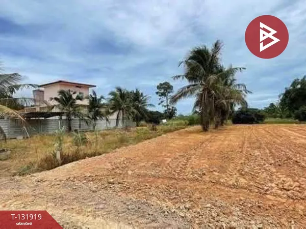 ขายที่ดิน เนื้อที่ 100 ตารางวา ต.นาตาขวัญ ระยอง