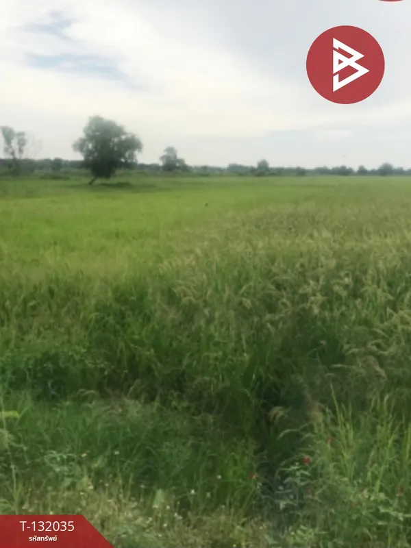 ขายที่ดิน เนื้อที่ 11 ไร่ 28 ตร.วา พนัสนิคม ชลบุรี