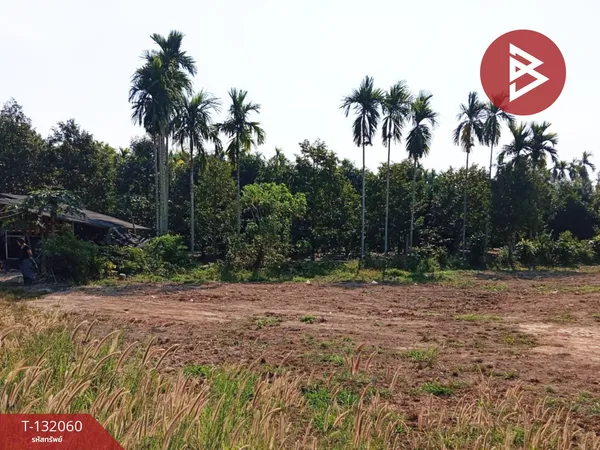 ขายที่ดิน เนื้อที่ 4 ไร่ 2 งาน 49 ตร.วา ท่าใหม่ จันทบุรี