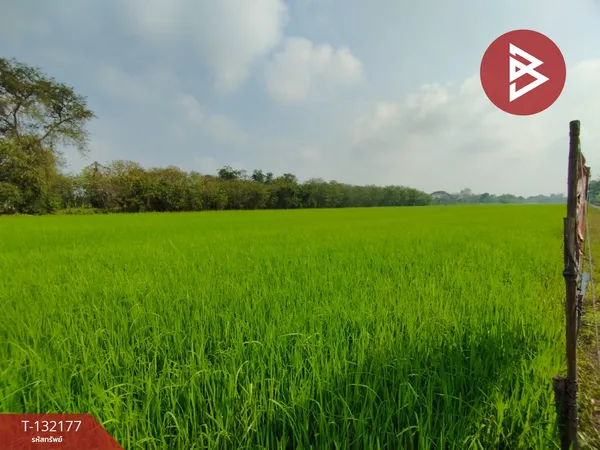 ขายที่ดิน เนื้อที่ 1 ไร่ หนองเสือ ปทุมธานี