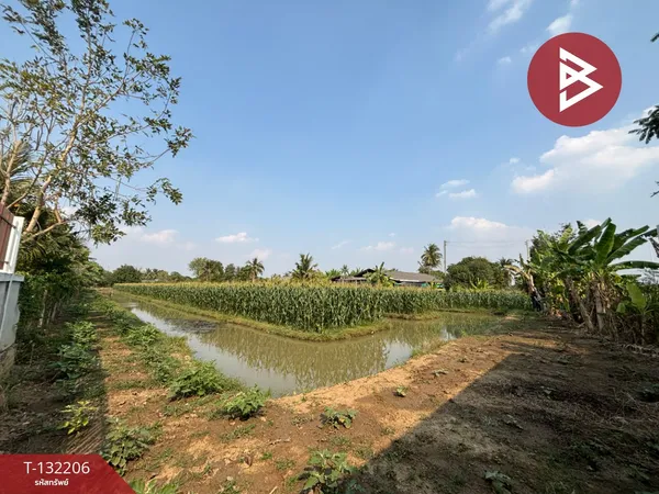 ขายที่ดิน เนื้อที่ 2 ไร่ โพธาราม ราชบุรี