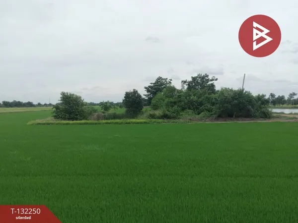 ขายที่ดิน เนื้อที่ 1 ไร่ ไทรน้อย นนทบุรี