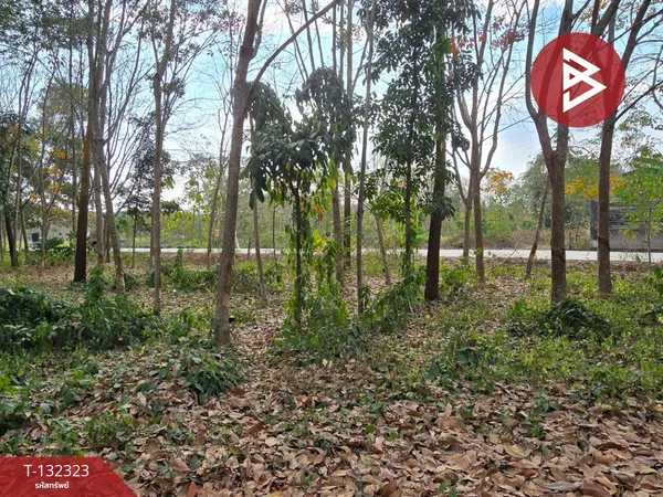 ขายที่ดิน เนื้อที่ 3 ไร่ 1 งาน 32 ตารางวา แกลง ระยอง