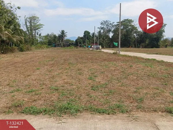 ขายที่ดิน เนื้อที่ 91.7 ตร.วา บ้านค่าย ระยอง