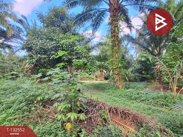 ขายที่ดิน เนื้อที่ 2 ไร่ 1 งาน 13.9 ตารางวา ต.ไชยมนตรี เมืองนครศรีธรรมราช