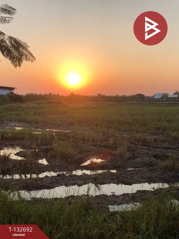 ขายที่ดิน เนื้อที่ 3 ไร่ 1 งาน 10 ตารางวา เขาท่าพระ เมืองชัยนาท