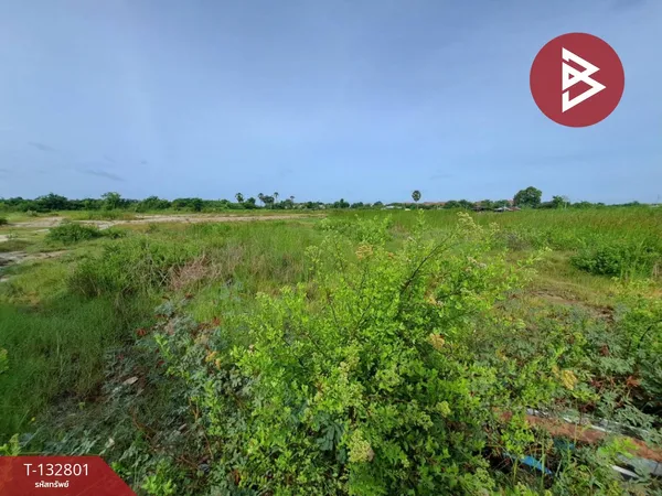 ขายที่ดิน เนื้อที่ 1 งาน 11 ตารางวา บ้านปึก ชลบุรี