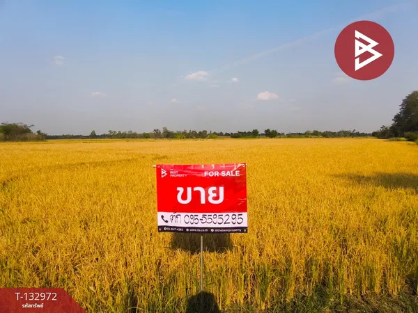 ขายที่ดิน เนื้อที่ 14 ไร่ 2 งาน 95 ตารางวา ศรีเทพ เพชรบูรณ์