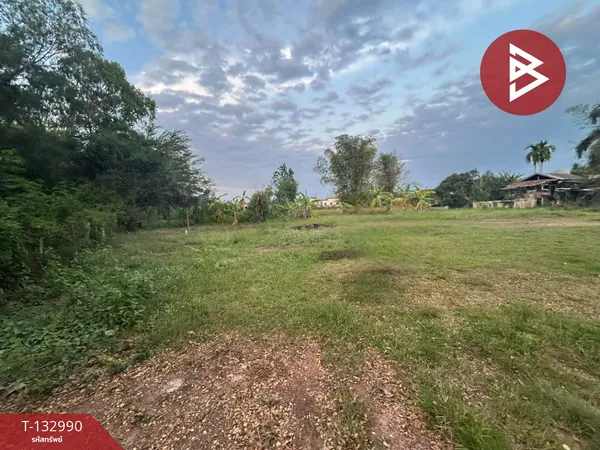 ขายที่ดิน เนื้อที่ 4 ไร่ 1 งาน 89.7 ตร.วา เพ ระยอง