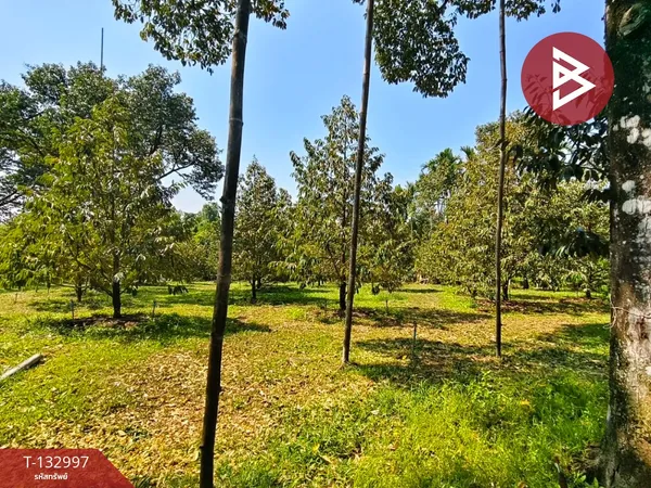 ขายที่ดิน เนื้อที่ 6 ไร่ 3 งาน 31 ตร.วา เขาคิชฌกูฏ จันทบุรี