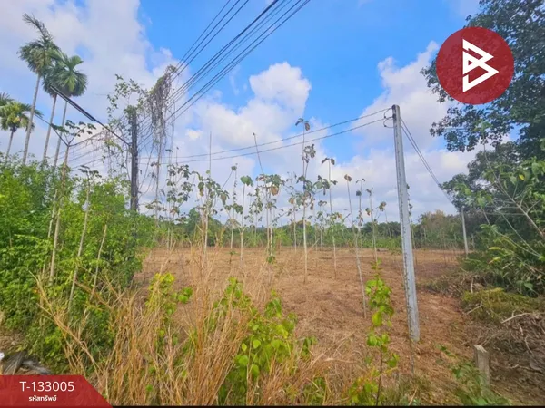 ขายที่ดินสวย เนื้อที่ 2 ไร่ 19 ตารางวา ใจกลางเมืองท่าใหม่ จันทบุรี