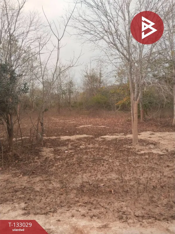 ขายที่ดิน เนื้อที่ 40 ไร่ 8 ตร.วา ท่ายาง เพชรบุรี